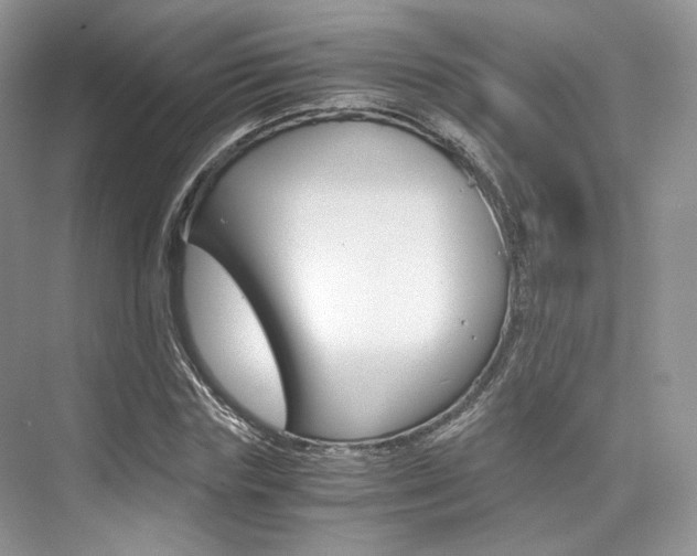 X0000073900827200608110933