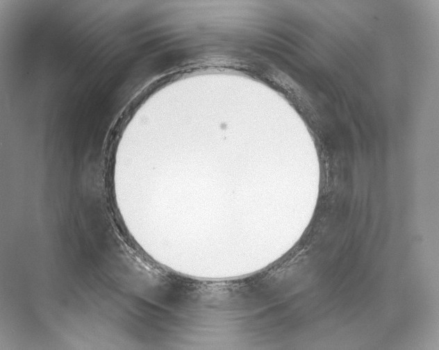 X0000073900828200608110933