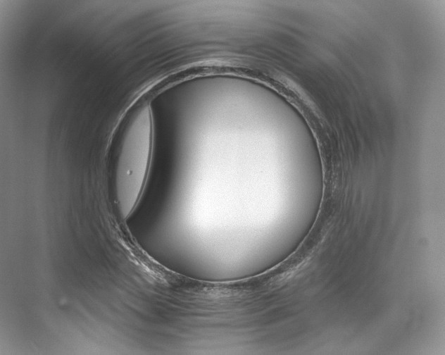 X0000073900829200608110933