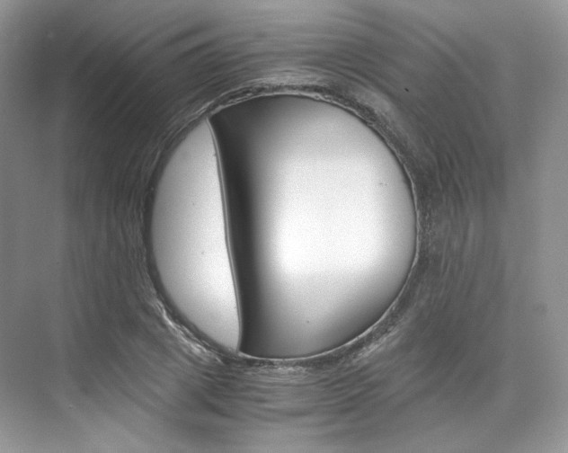 X0000073900833200608110933