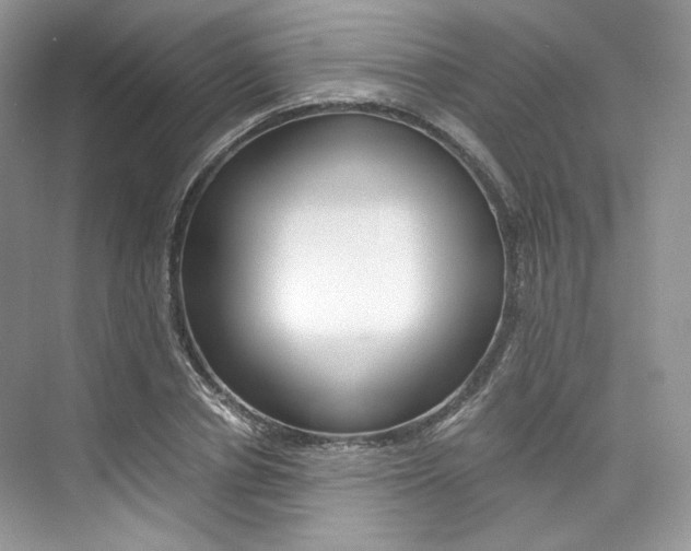X0000073900834200608110933