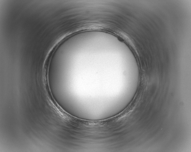 X0000073900835200608110933