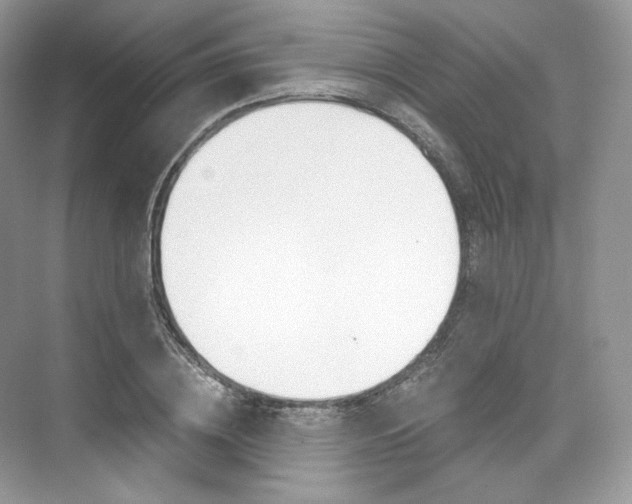X0000073900836200608110933