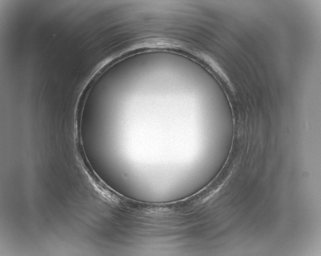 X0000073900837200608110933