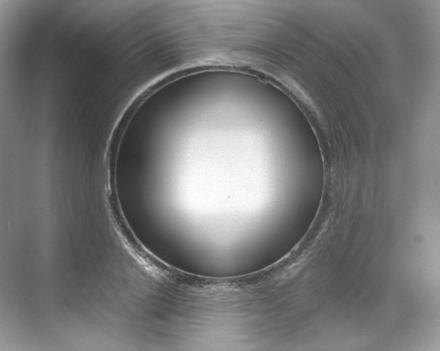 X0000073900838200608110933