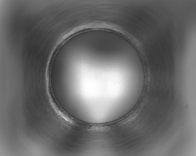 X0000073900840200608110933