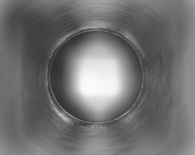X0000073900842200608110933