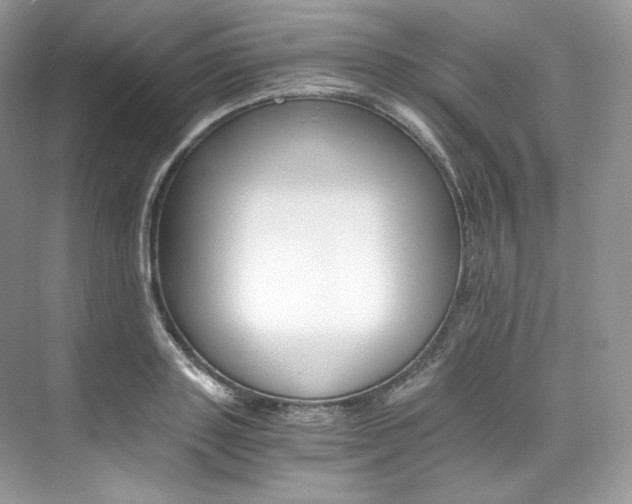 X0000073900843200608110933