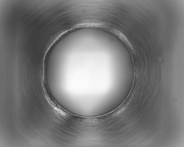 X0000073900844200608110933