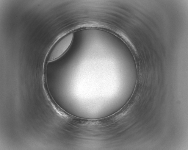 X0000073900845200608110933