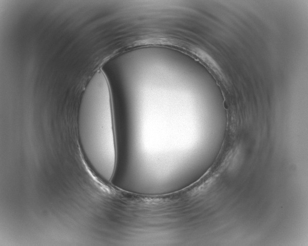 X0000073900849200608110934