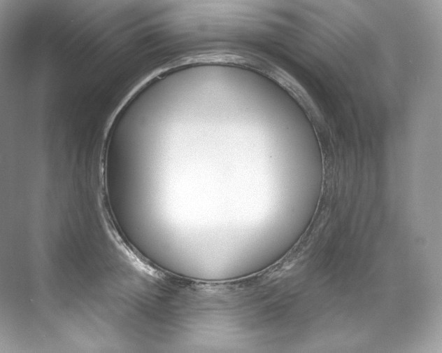 X0000073900852200608110934