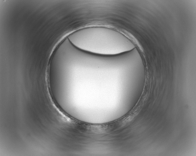 X0000073900855200608110934
