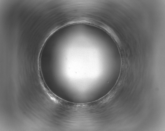X0000073900858200608110934