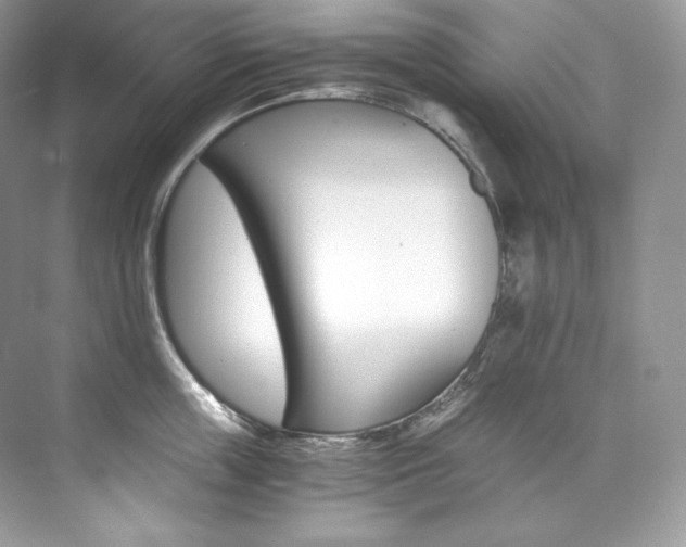 X0000073900859200608110934