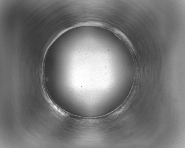 X0000073900860200608110934