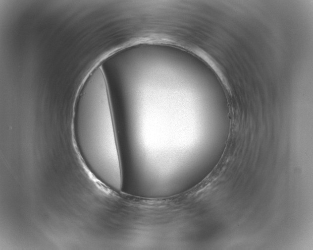 X0000073900861200608110934