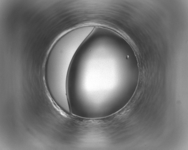 X0000073900862200608110934