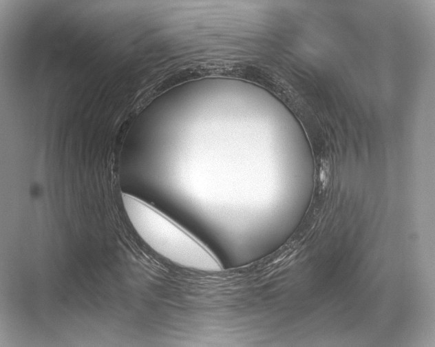 X0000073900867200608110933