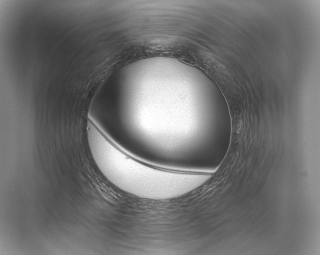 X0000073900868200608110933