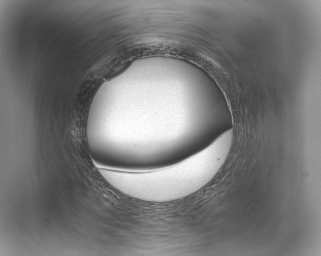 X0000073900869200608110933