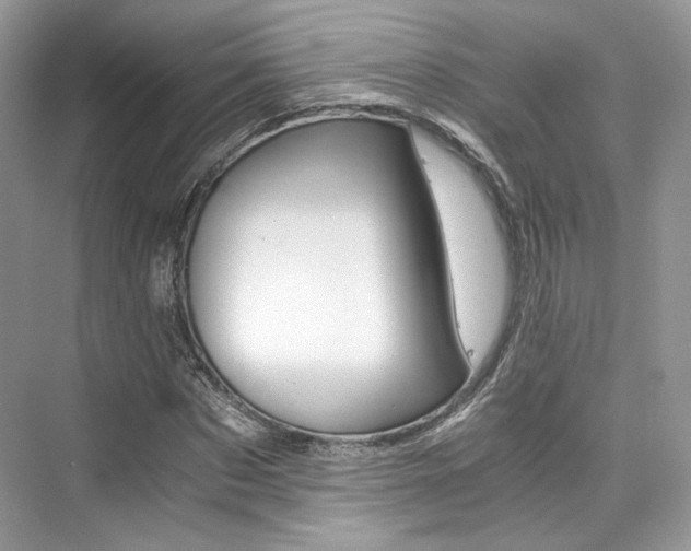 X0000073900873200608110933