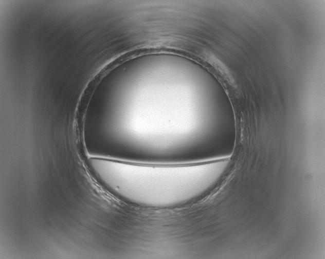 X0000073900876200608110933