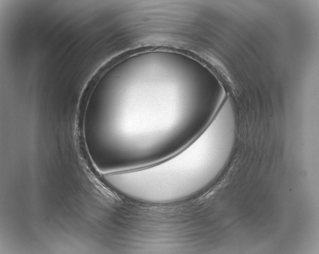 X0000073900880200608110933