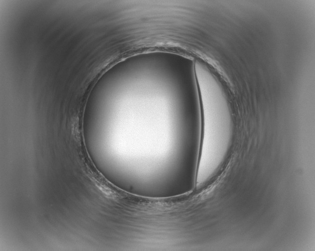 X0000073900881200608110933