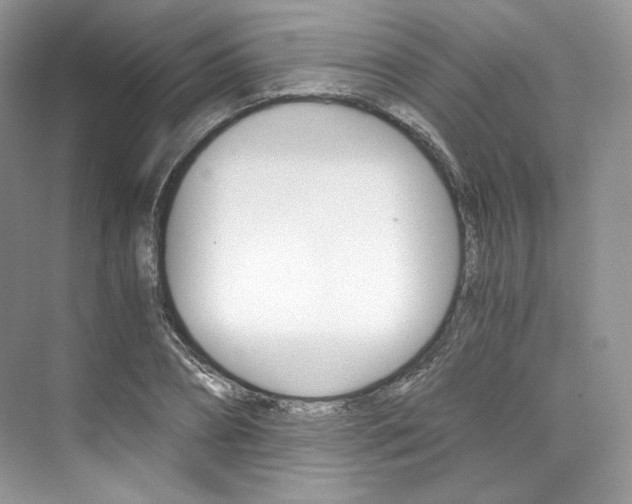 X0000073900882200608110933