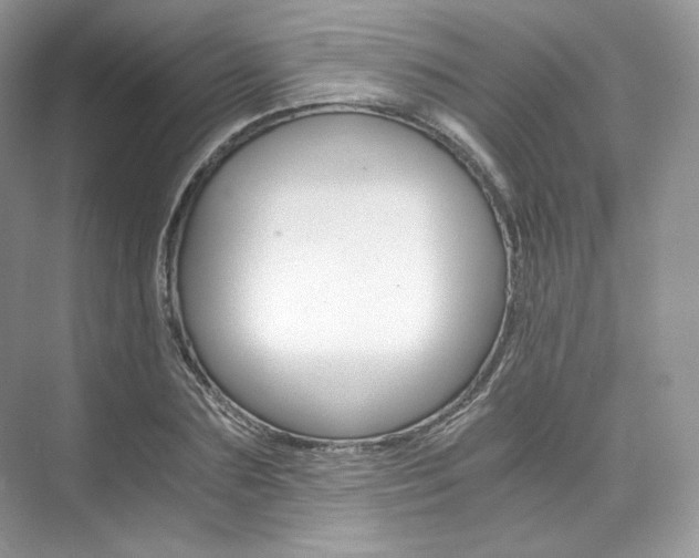 X0000073900883200608110933