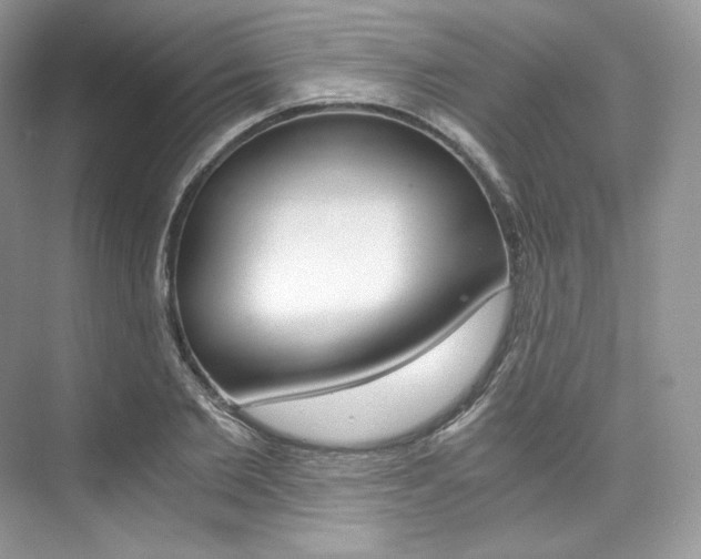 X0000073900885200608110933