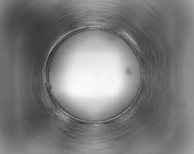 X0000073900891200608110933