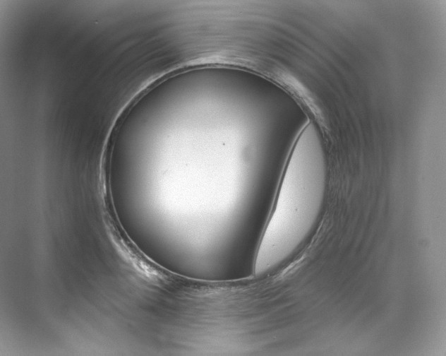 X0000073900892200608110933