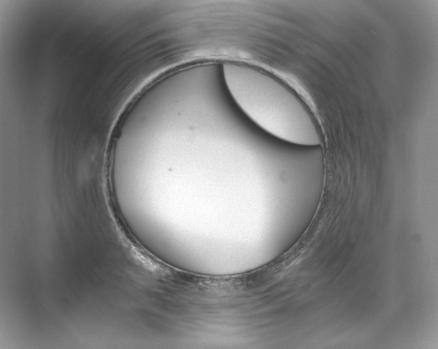 X0000073900895200608110932
