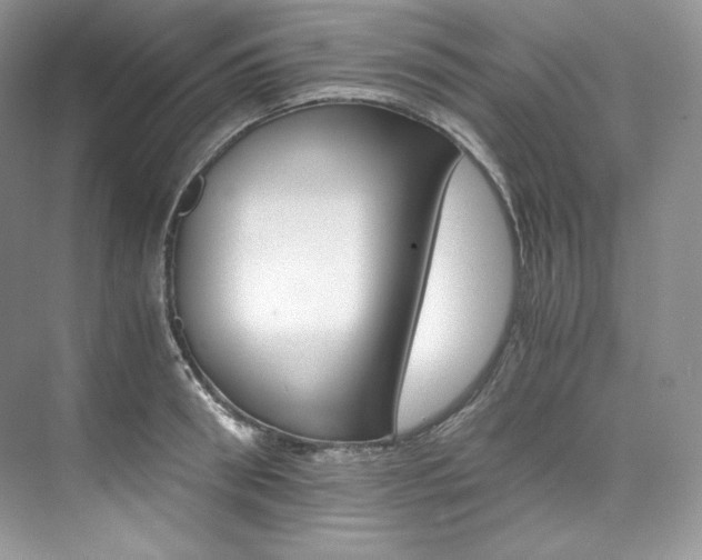 X0000073900898200608110932