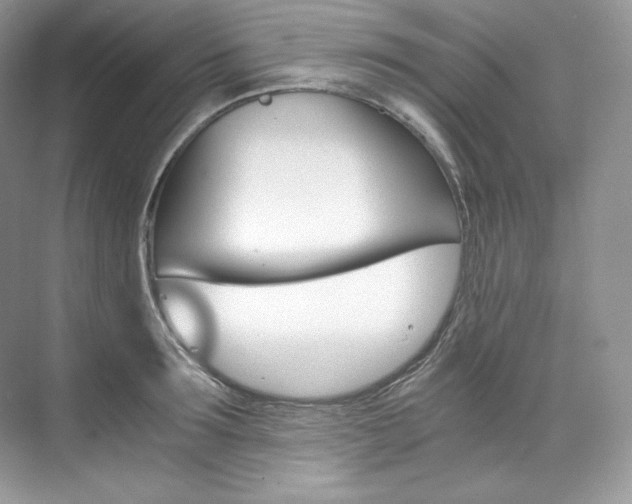 X0000073900899200608110932