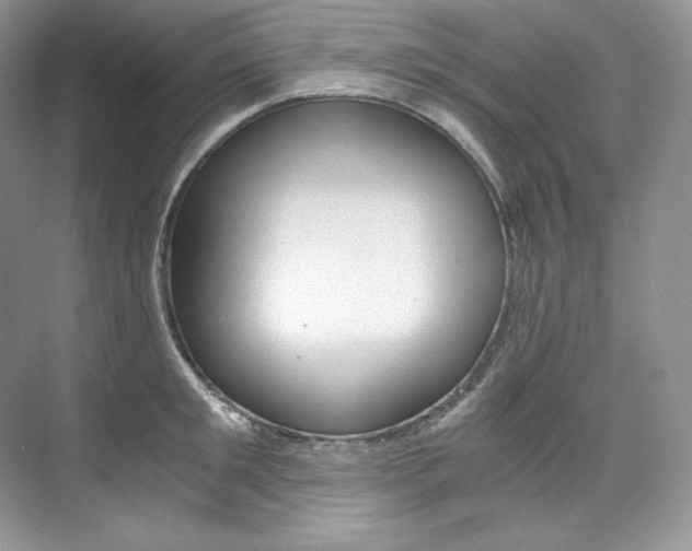 X0000073900901200608110932