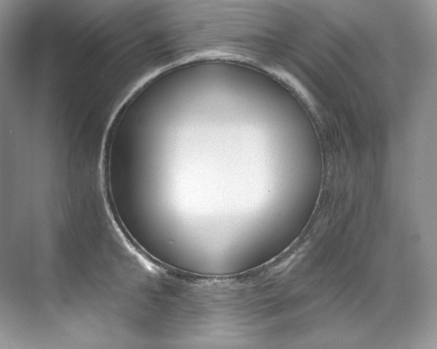 X0000073900902200608110932