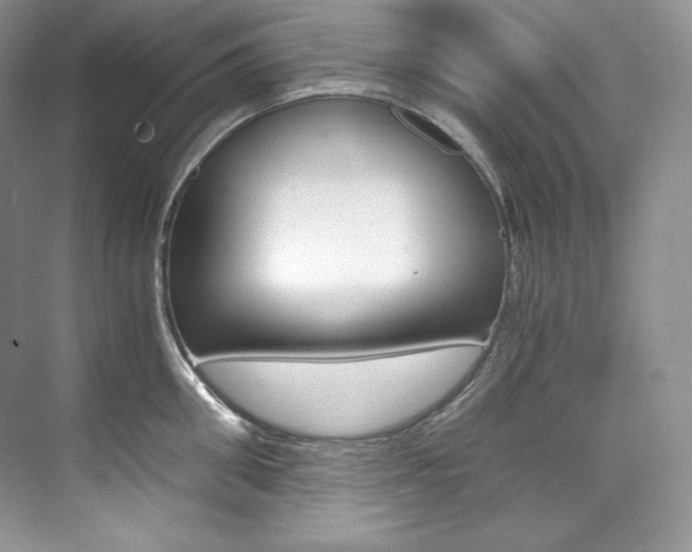X0000073900906200608110932