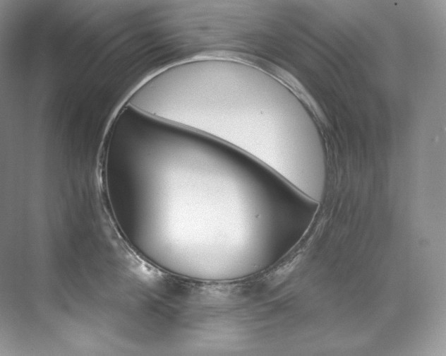 X0000073900908200608110932