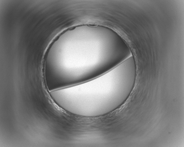X0000073900912200608110932