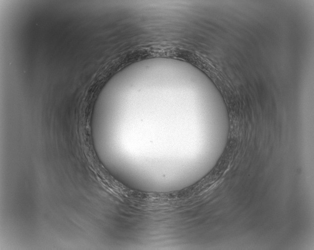 X0000073900913200608110931