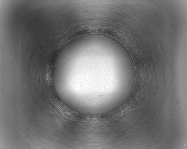 X0000073900914200608110931