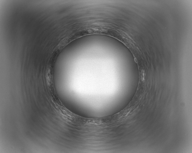 X0000073900915200608110931