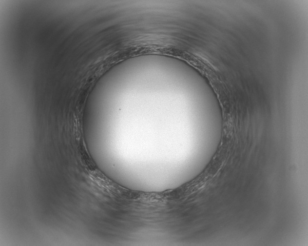 X0000073900917200608110931