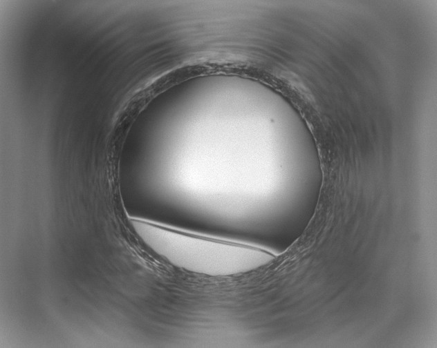 X0000073900920200608110932