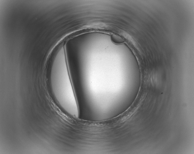 X0000073900923200608110932