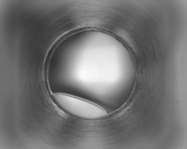 X0000073900924200608110932