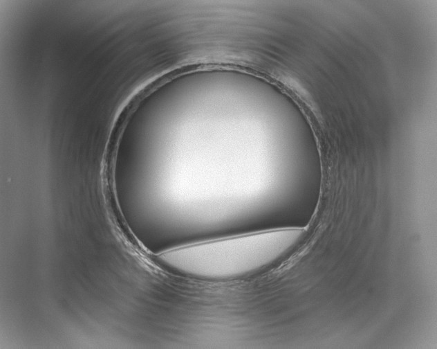 X0000073900928200608110932